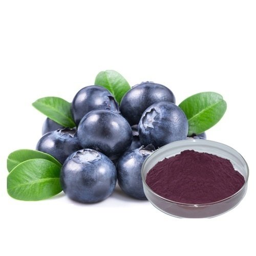 Vaccinium Angustifolium (Blueberry) Fruit Extract - greengredients